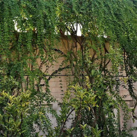 Il Sogno Delle Benedettine Ostuni