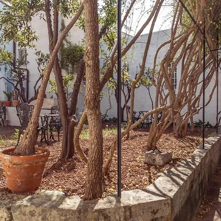 Il Sogno Delle Benedettine *