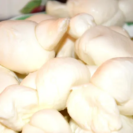 Szálloda Il Sogno Delle Benedettine *