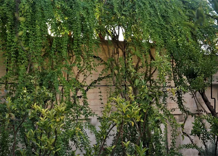 Il Sogno Delle Benedettine أوستوني