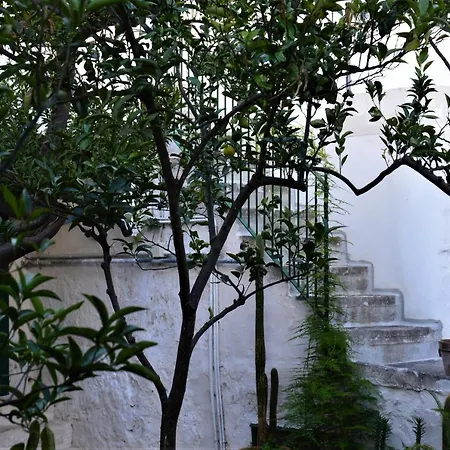 Il Sogno Delle Benedettine *