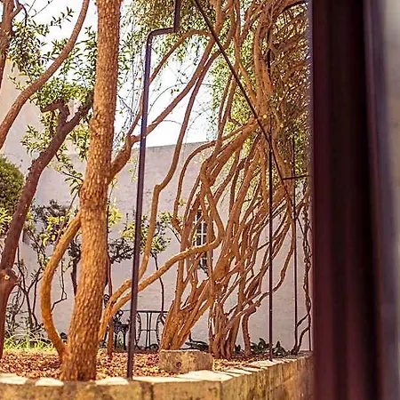 Il Sogno Delle Benedettine * Ostuni