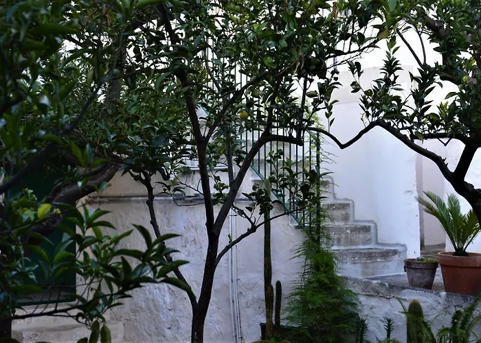 Il Sogno Delle Benedettine *