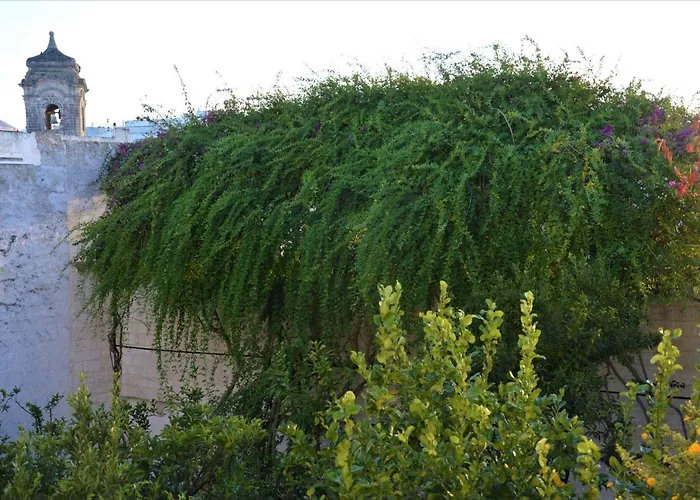 Il Sogno Delle Benedettine